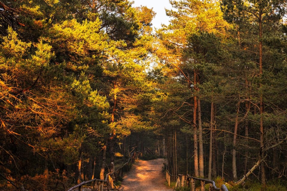 Spring, Day, Natural landscape