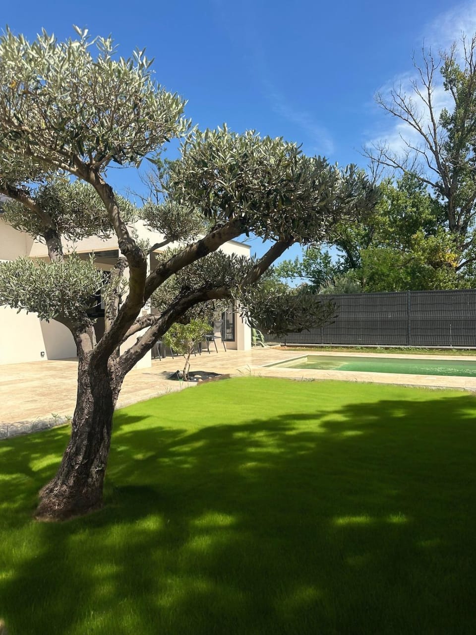 Villa avec piscine - L'Oliviera Villa in Provence