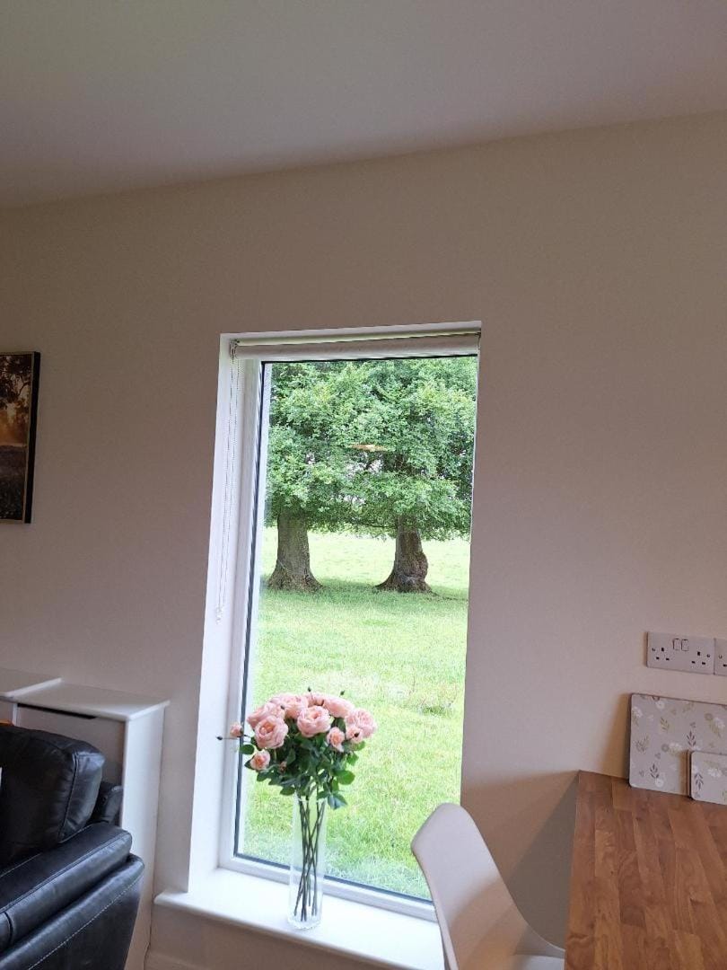 Communal lounge/ TV room, Garden, TV and multimedia, Living room, Evening entertainment, Garden view