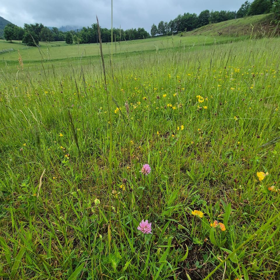 Natural landscape