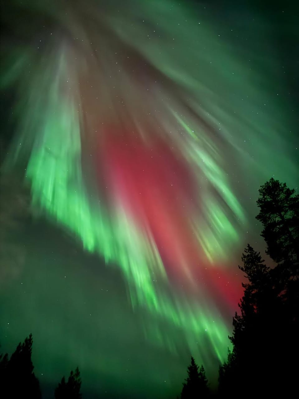 Northern Studio By Lapland Host Apartment in Rovaniemi