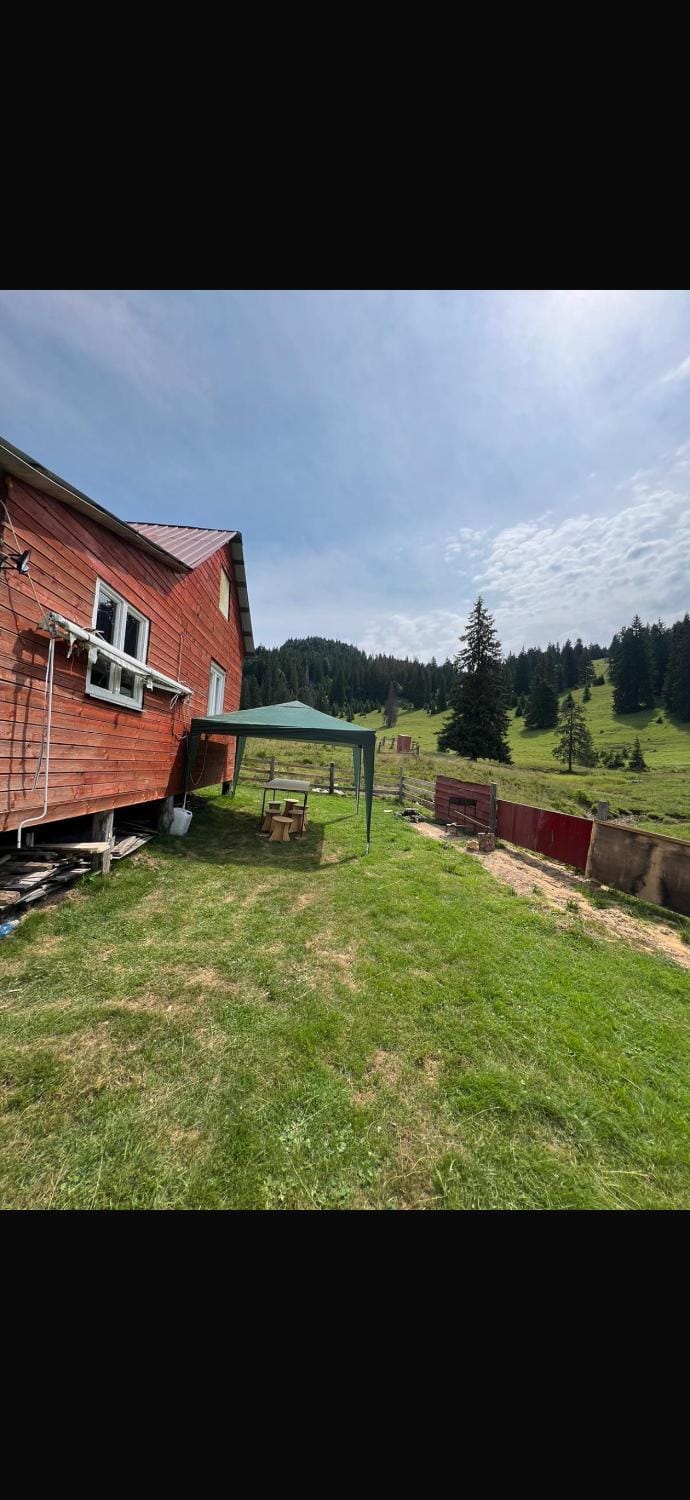 Cǎsuța din Munte House in Brașov County