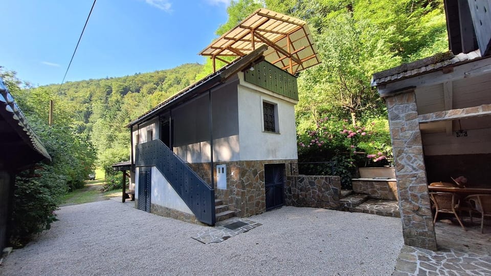 Vila Anton Villa in Slovenia