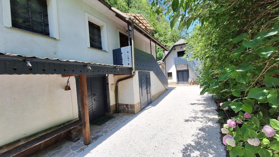 Vila Anton Villa in Slovenia