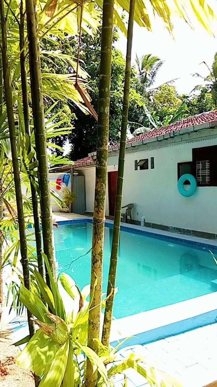 The Comfortable Coconut House Villa in Southern Province