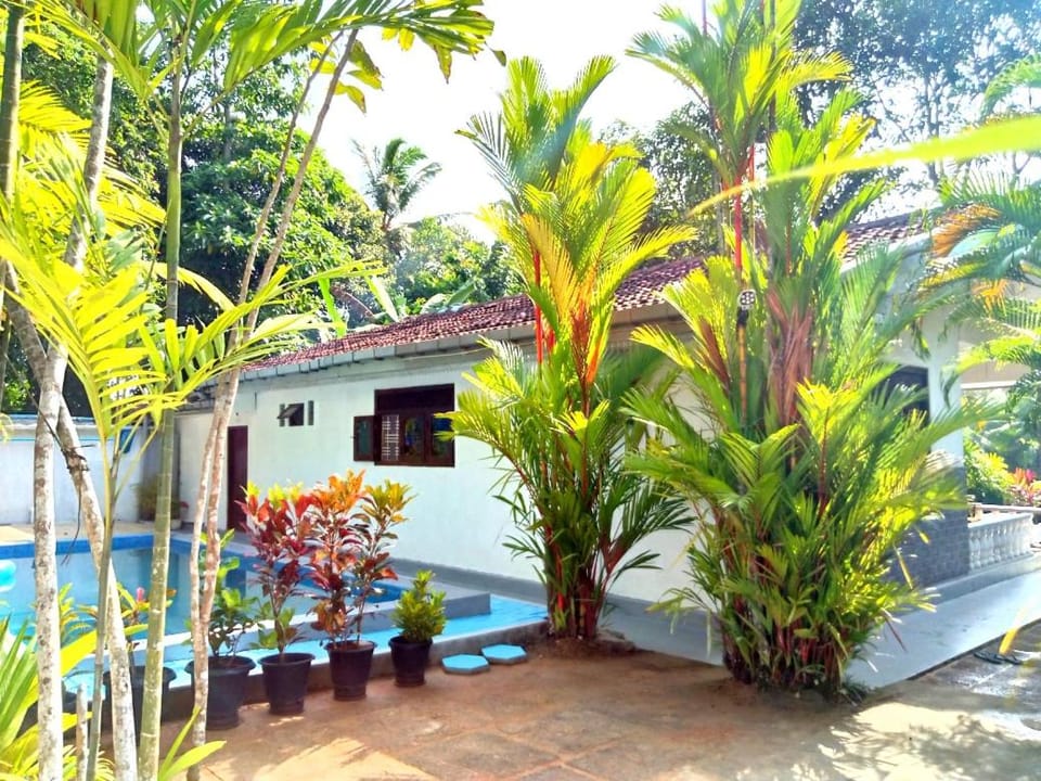 The Comfortable Coconut House Villa in Southern Province