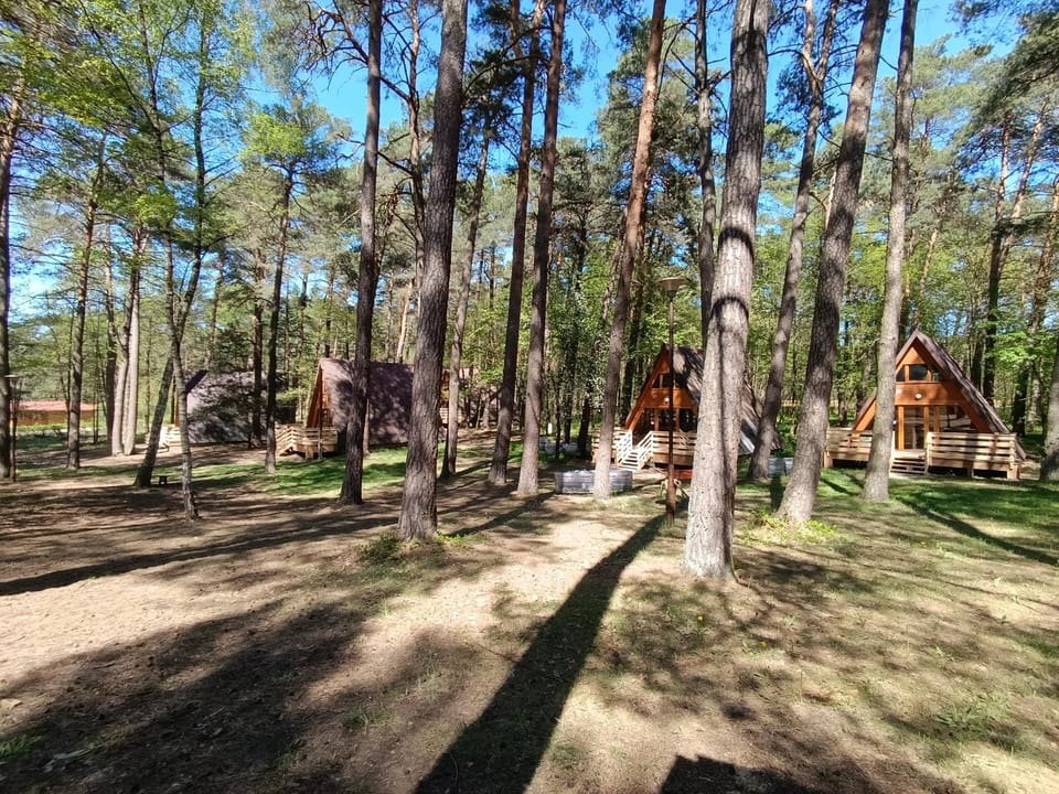 Domek w Ptasim Gaju House in Poland