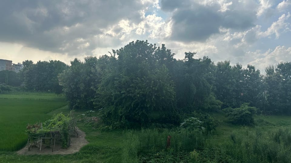 View (from property/room)