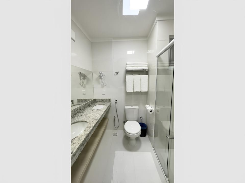 Shower, Toilet, Bathroom, bidet