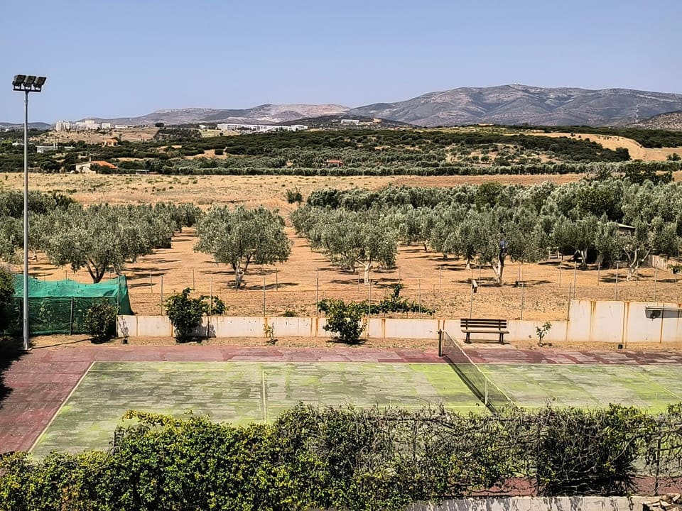 Day, Natural landscape, Tennis court
