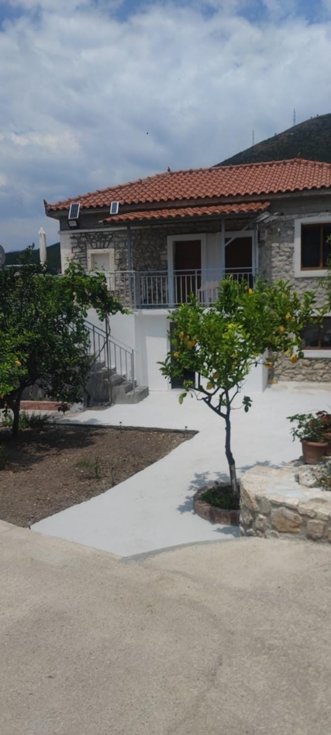 Property building, Garden view