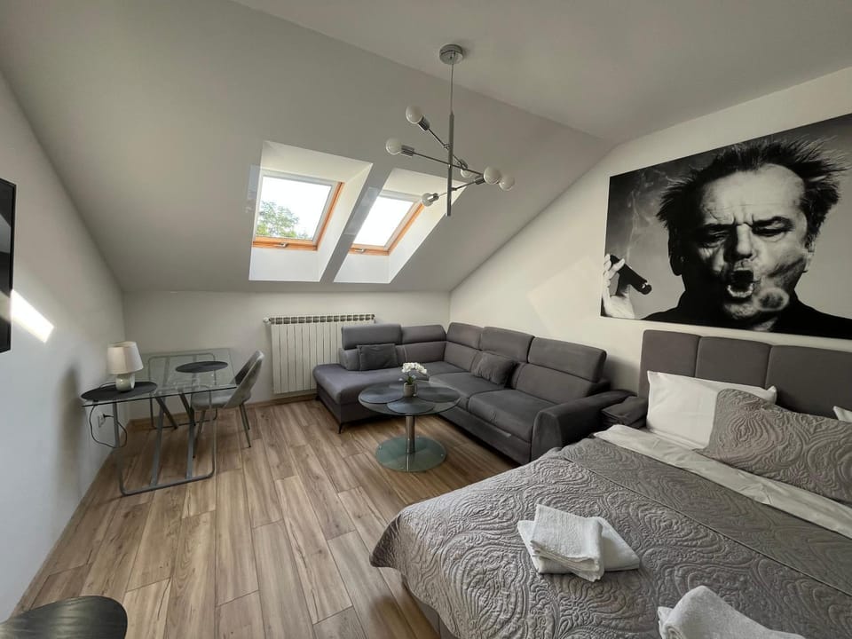 Kraków Litewska Vintage Apartment in Krakow
