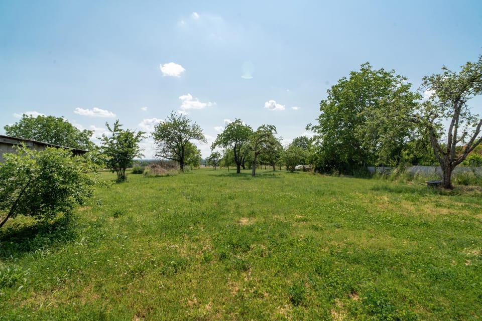 Garden, Garden view