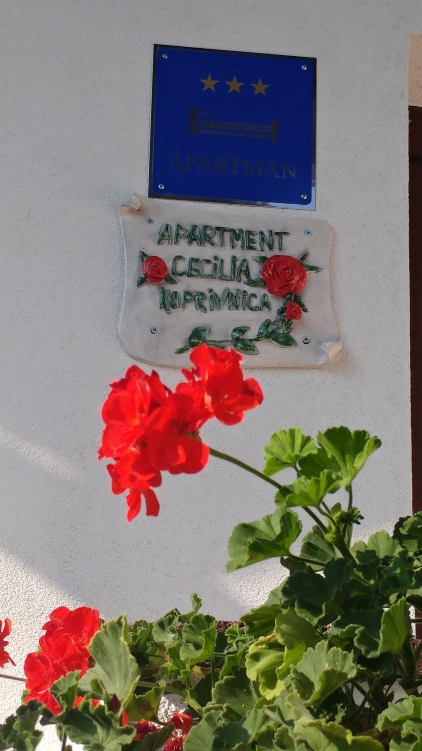 Decorative detail