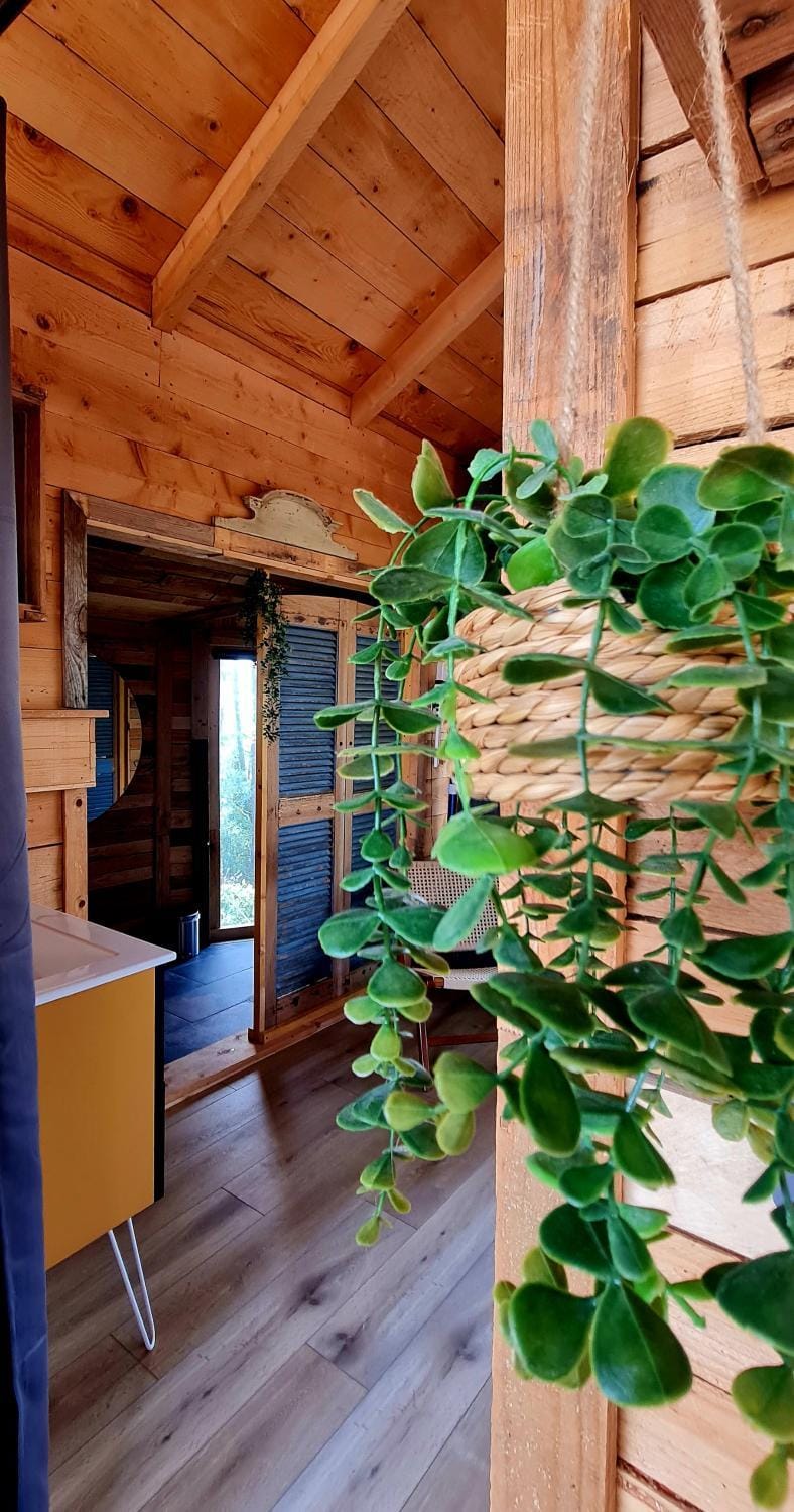 Le Masdemoiselle Chalet Chalet in Salernes