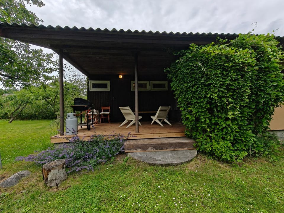 Patio, Garden