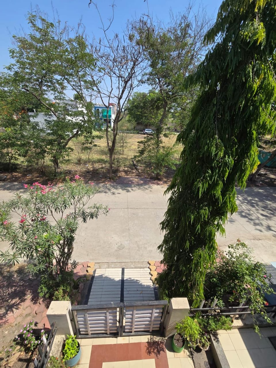 Neighbourhood, Garden view