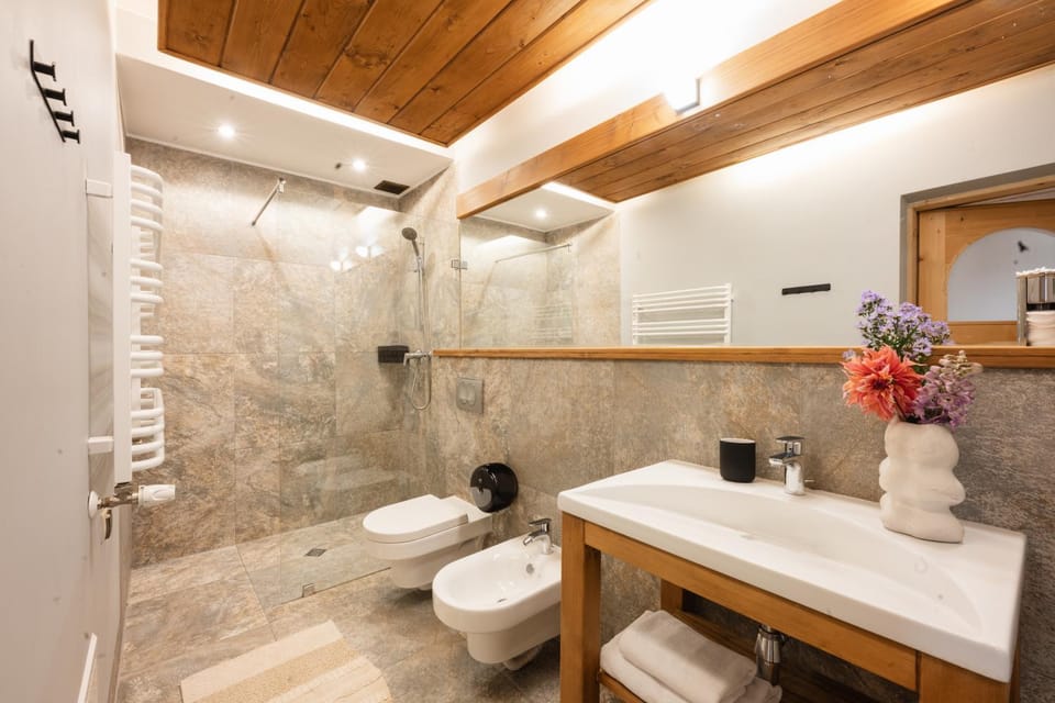 Shower, Toilet, Bathroom, bidet