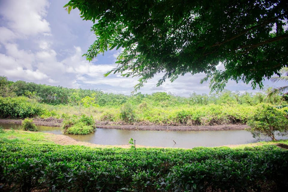 Spring, Garden view, Lake view