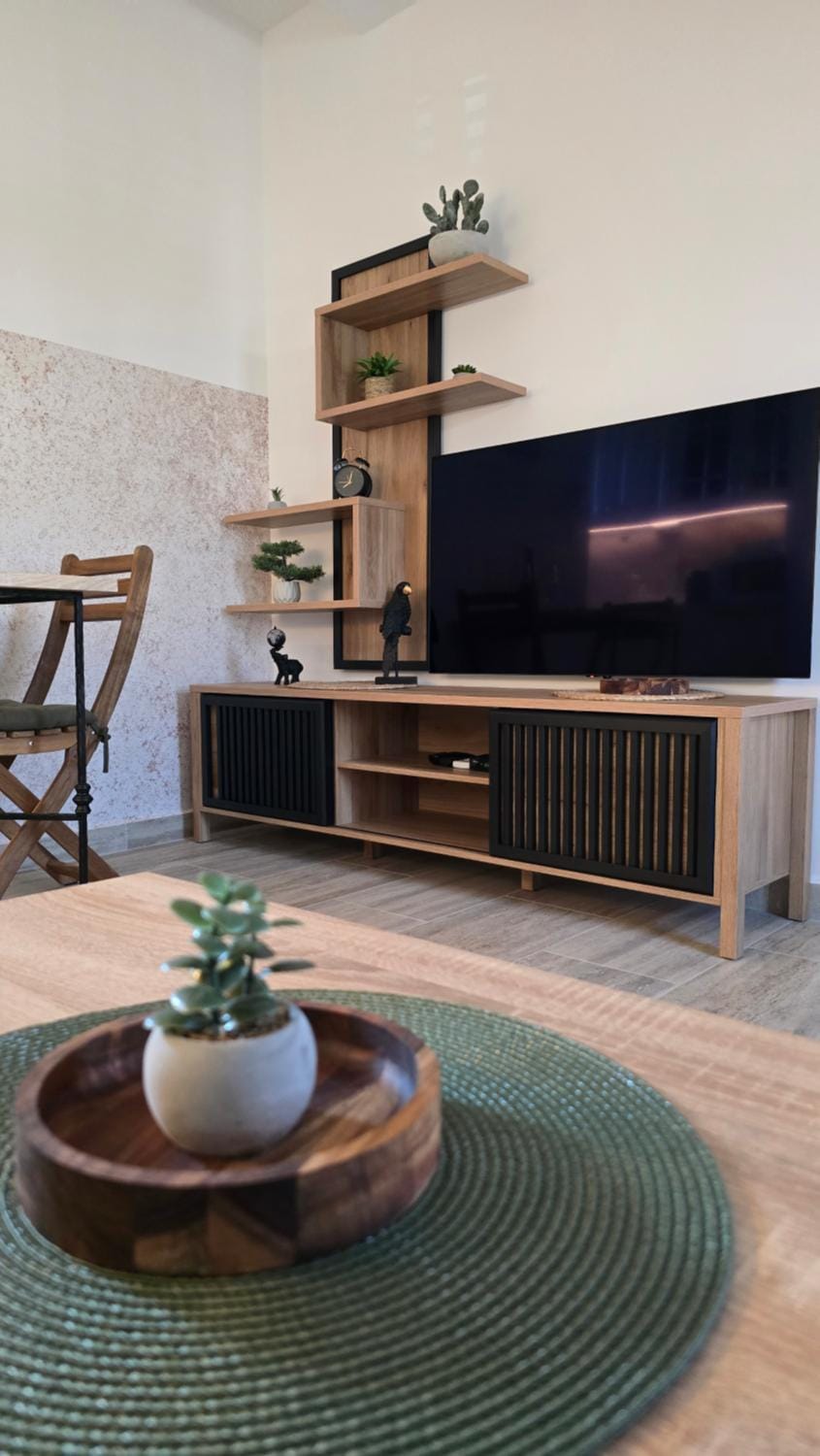 TV and multimedia