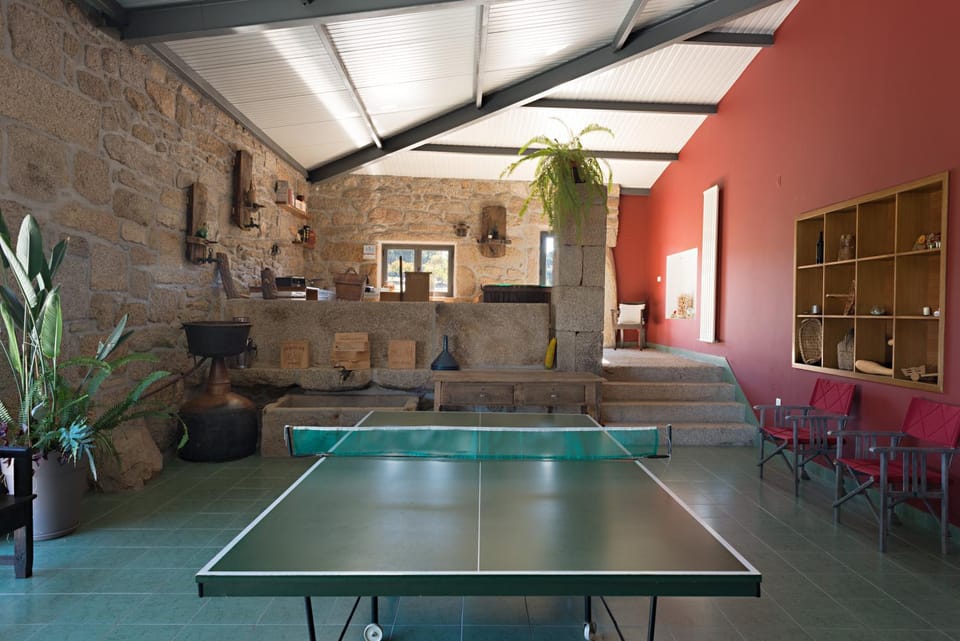 Activities, Game Room, Table tennis, Entertainment