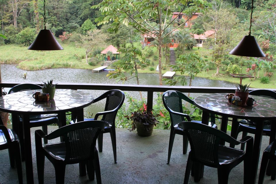 Restaurant/places to eat, Garden view, Lake view, American breakfast, Lunch, Drinks, Alcoholic drinks, Non alcoholic drinks
