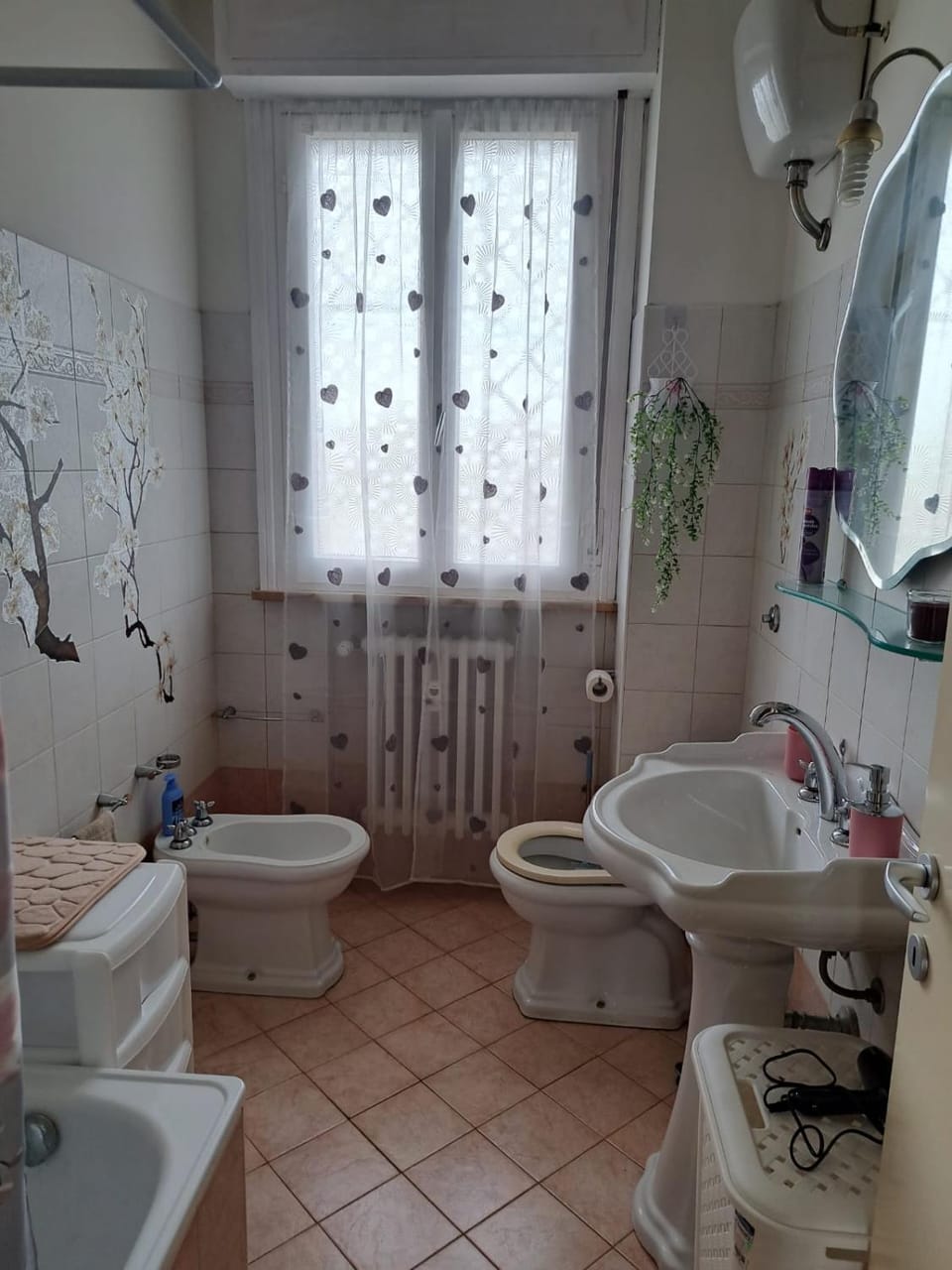 Shower, Toilet, Bathroom, Bath, bidet