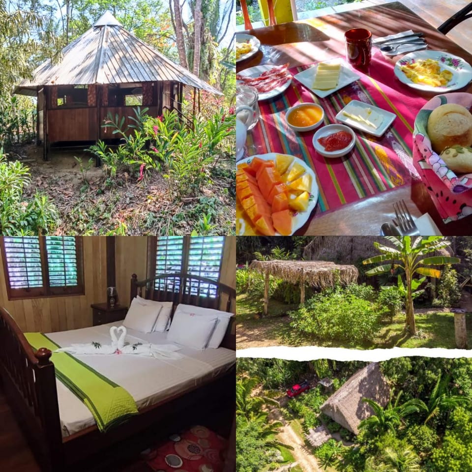 Property building, Restaurant/places to eat, Day, Bird's eye view, Garden, Food and drinks, Food