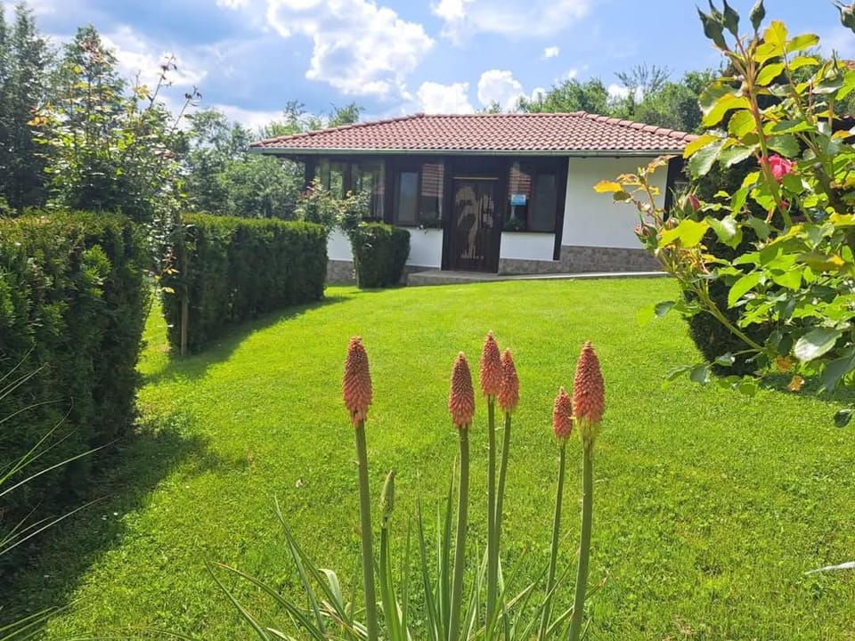 Къща за гости Костови 2 House in Veliko Tarnovo Province, Bulgaria