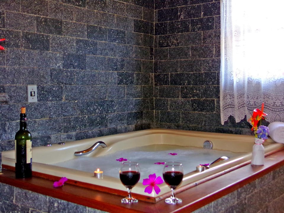 Pousada Canário Da Terra Inn in Visconde de Mauá