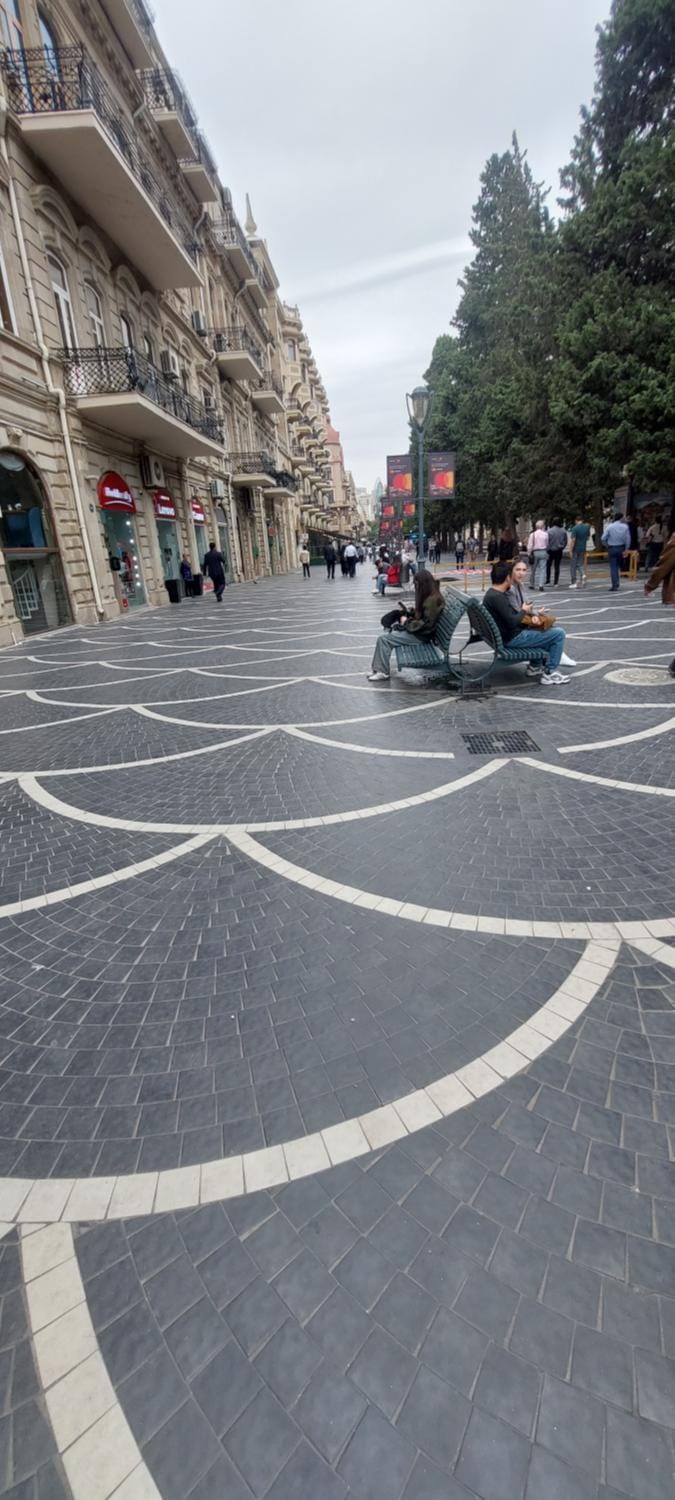 Luxury apartment on central Nizami Street Apartment in Baku