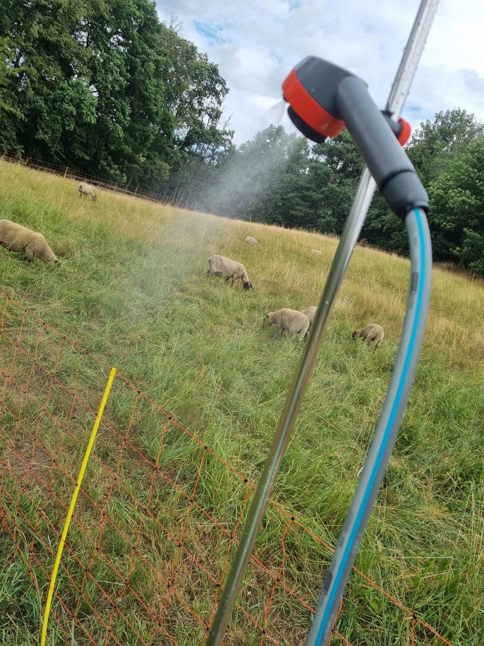 02 JURTA hnědá v jablečném sadu Luxury tent in Czechia