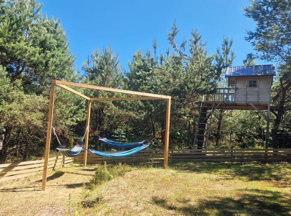 Domek pod lasem House in Pomeranian Voivodeship