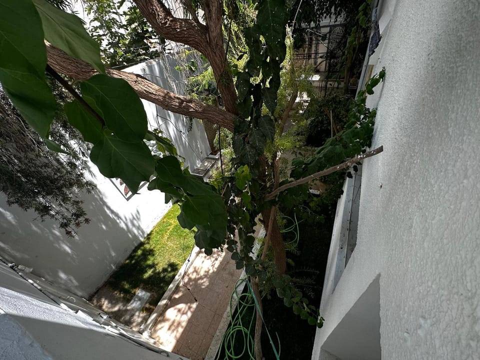 Inner courtyard view