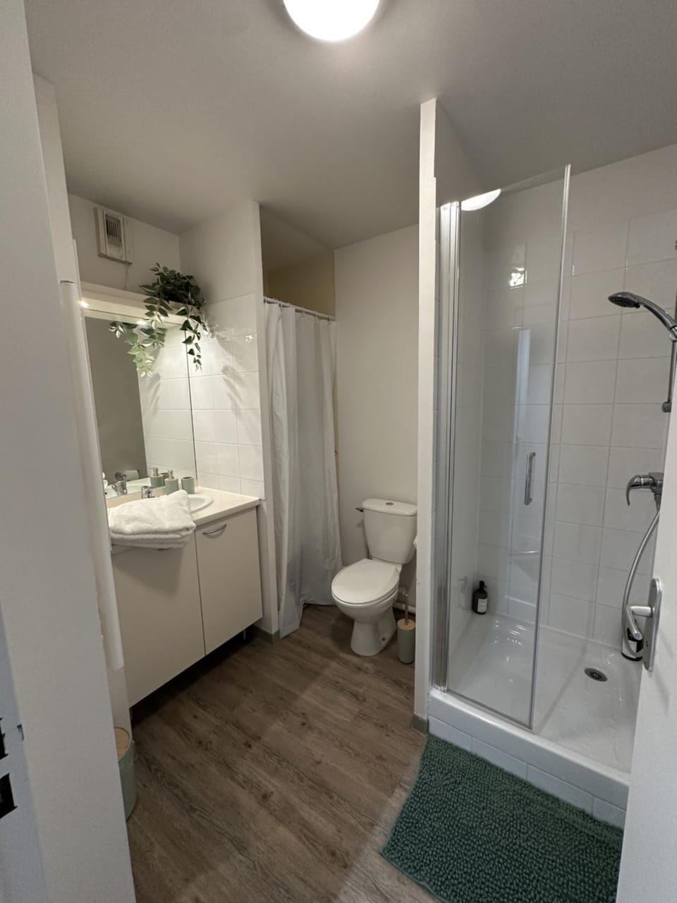 Shower, Toilet, Bathroom