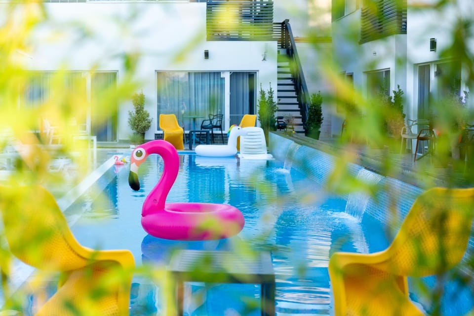 Day, Garden, Seating area, Garden view, Pool view, Swimming pool, sunbed