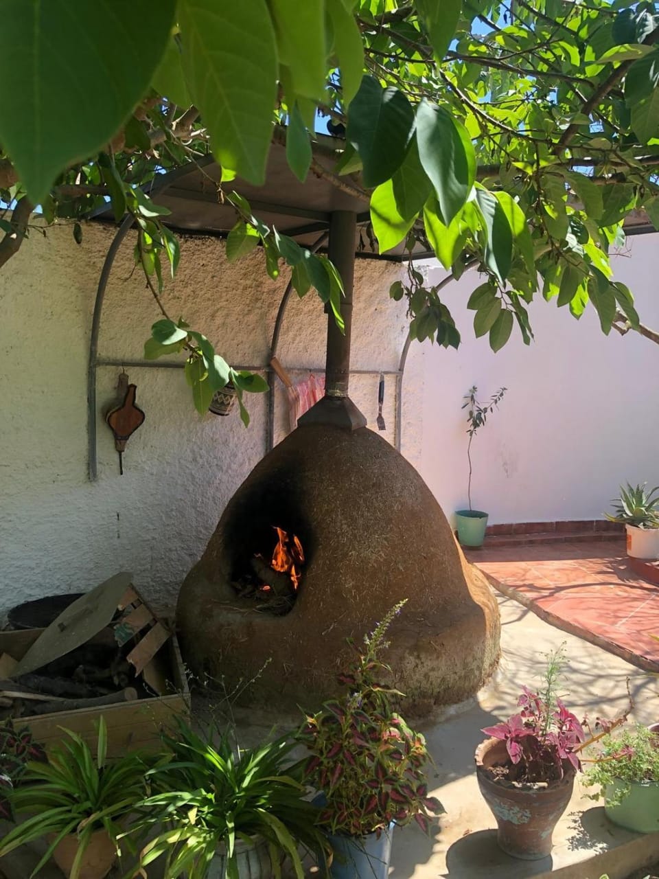 Fluture Farm Stay in Tangier-Tétouan-Al Hoceima