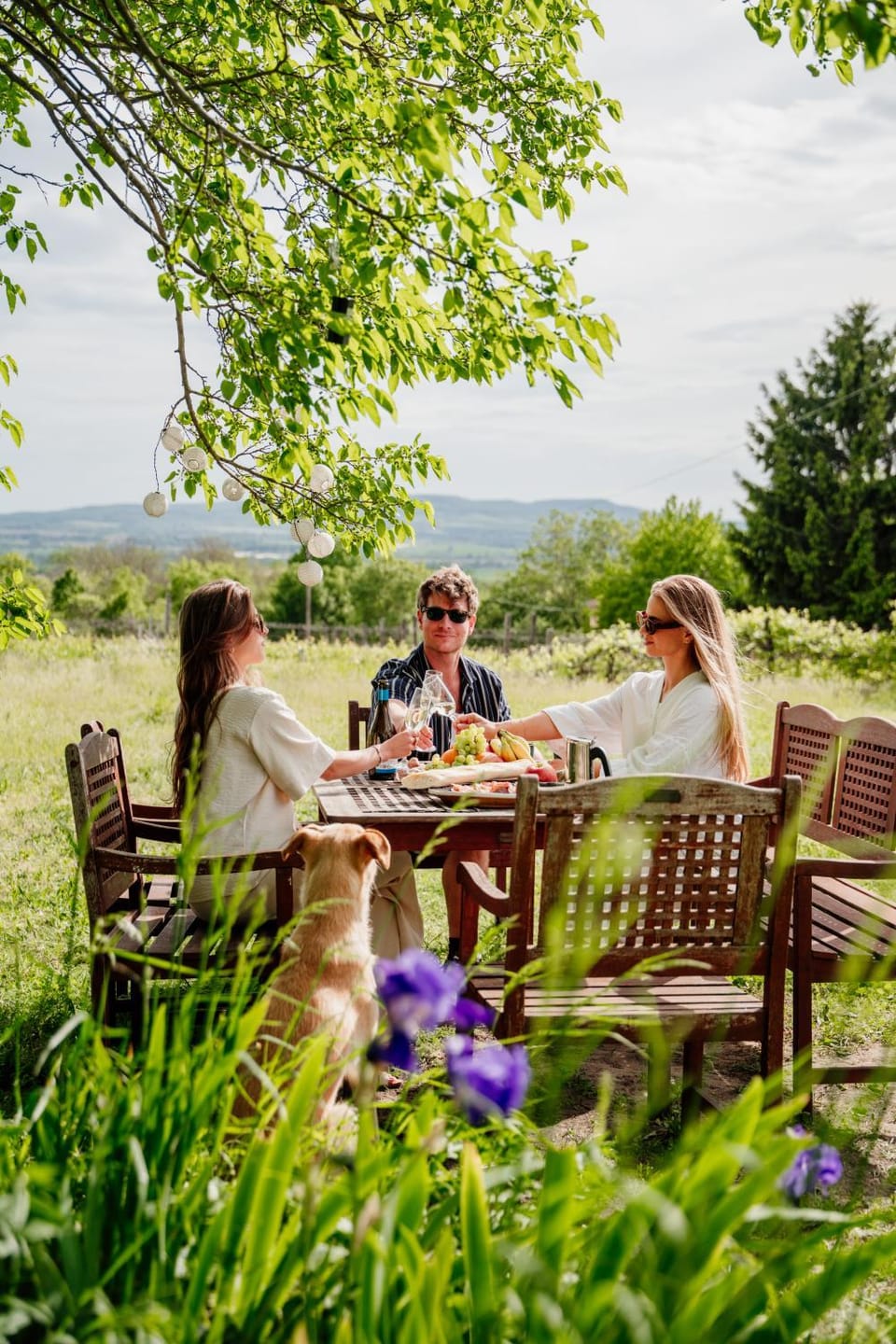 Natural landscape, Food and drinks, Garden view, group of guests