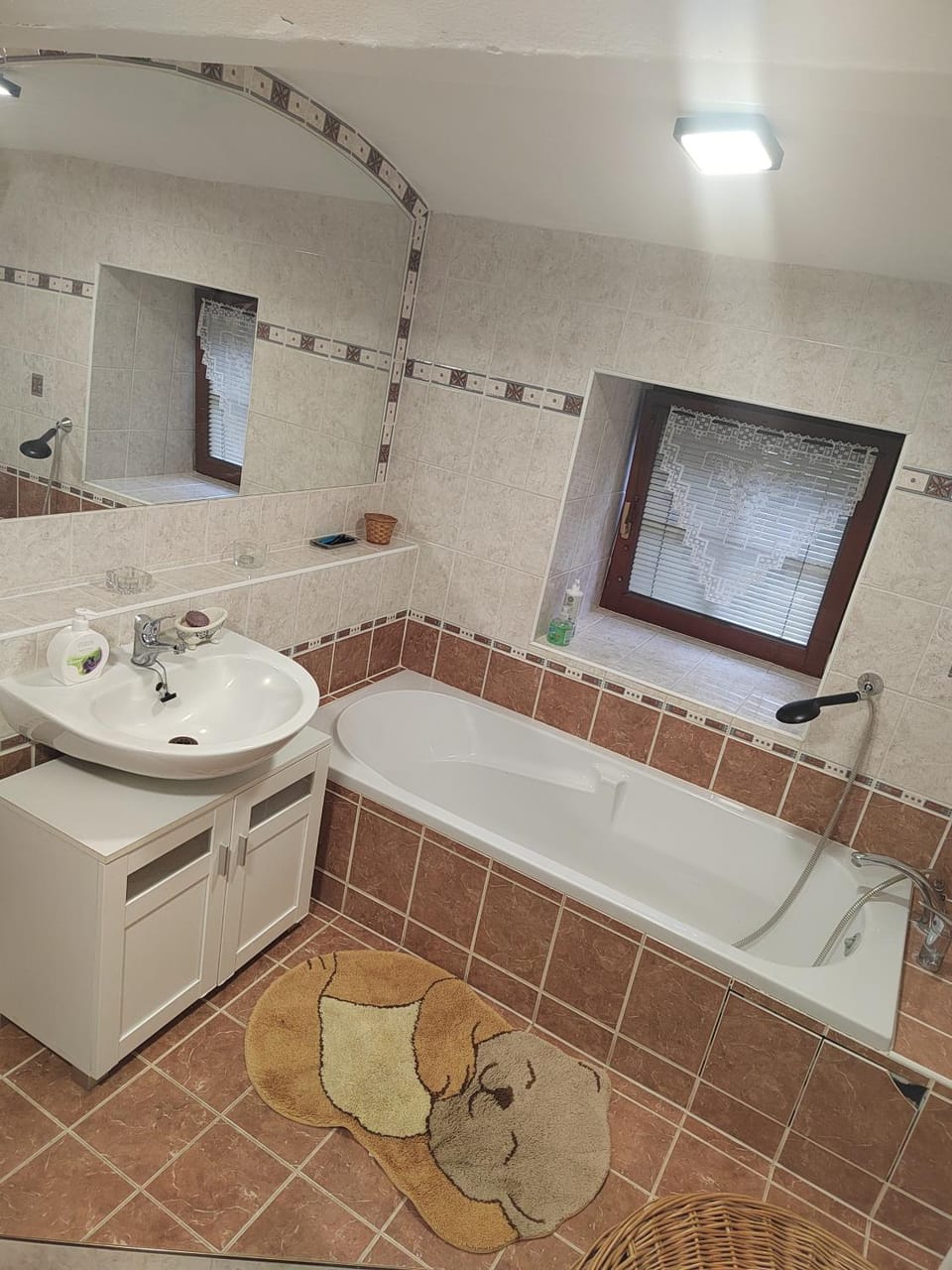 Ubytování Zdeňka Apartment in Czechia
