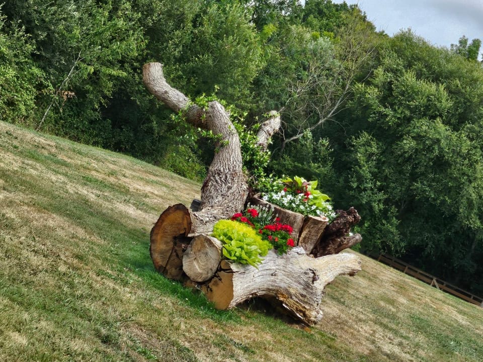 Natural landscape