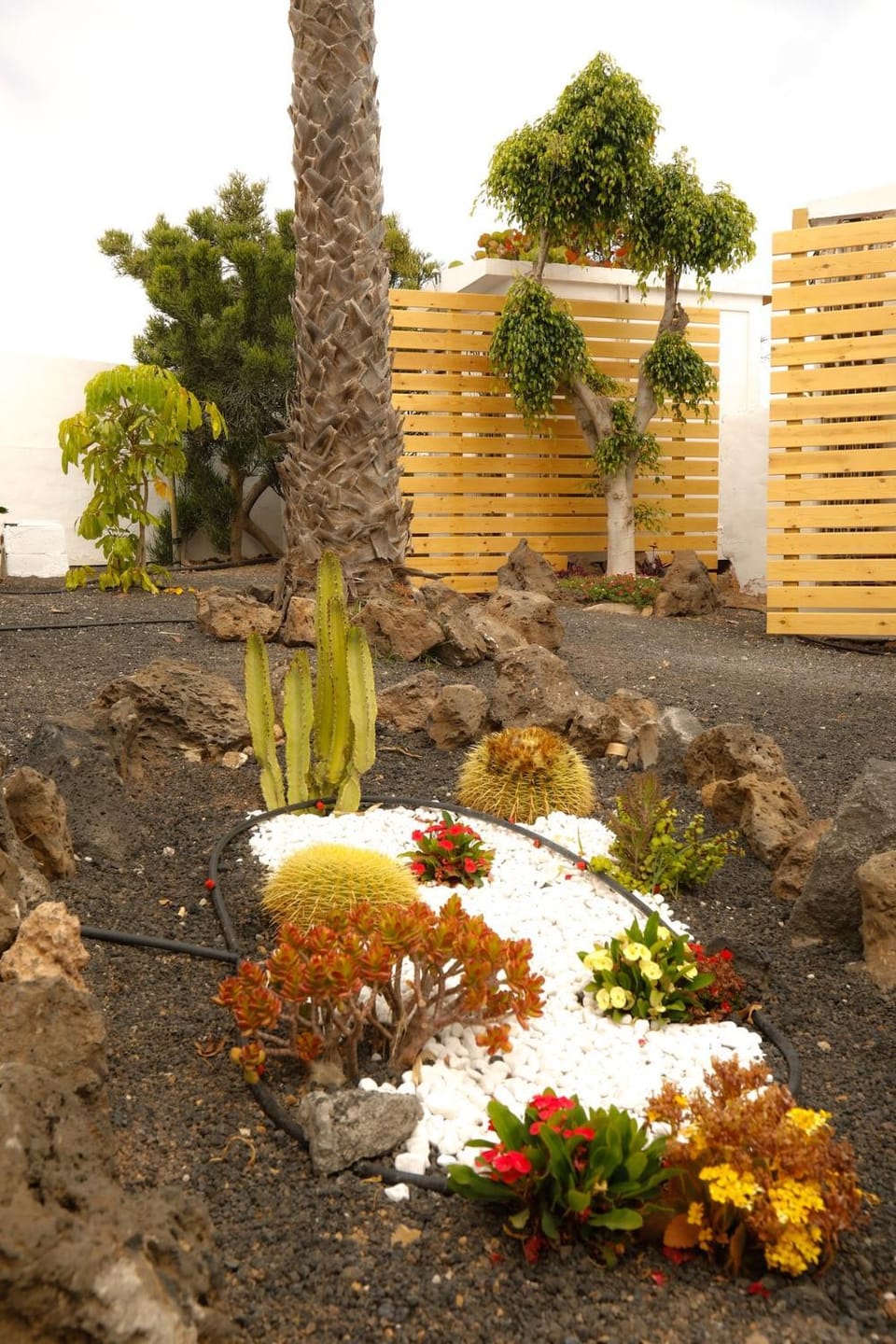 Oasis Dunas Corralejo Apartment in Corralejo