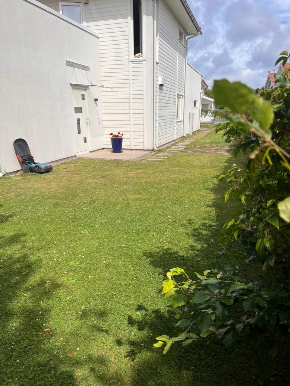 Garden view