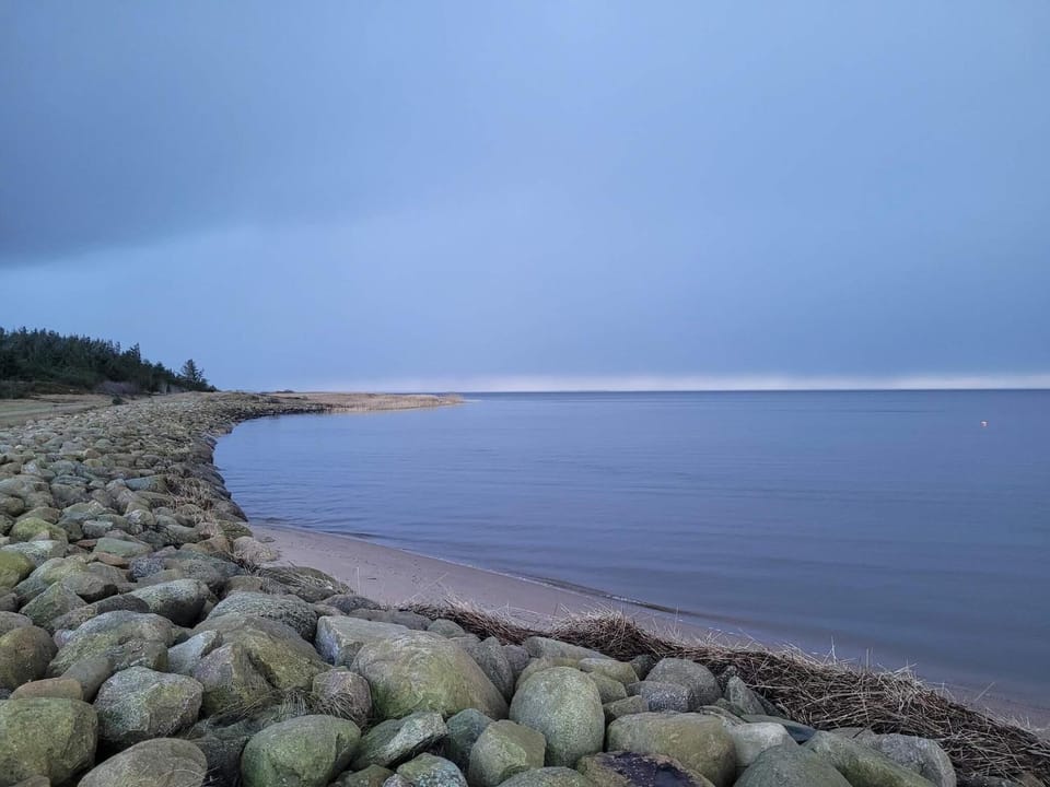 Lake view