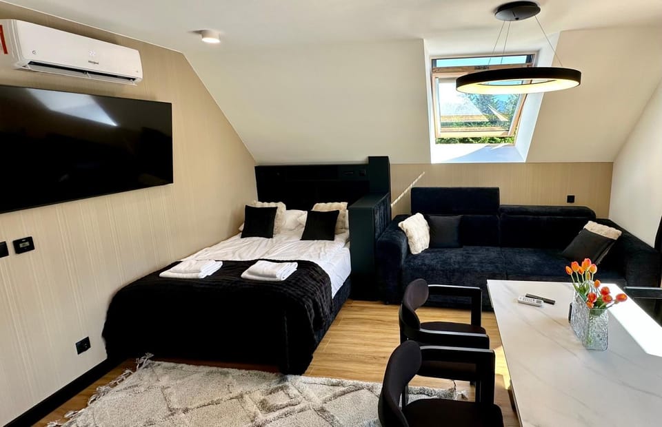 Bed, TV and multimedia, Living room, Photo of the whole room, Seating area, Dining area, air conditioner