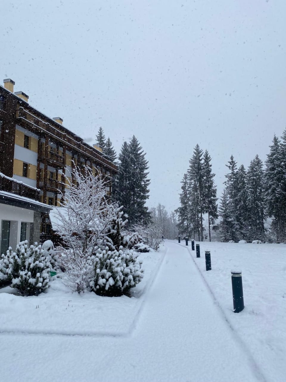 Property building, Day, Winter