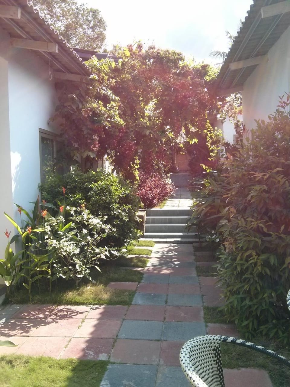 Garden view