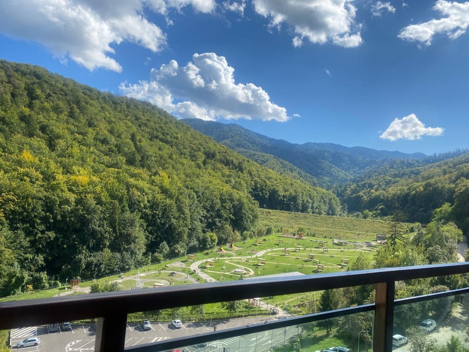 Zen la Munte Apartment in Brasov