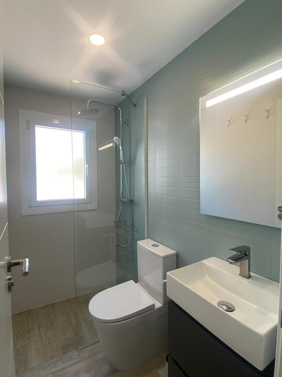 Shower, Toilet