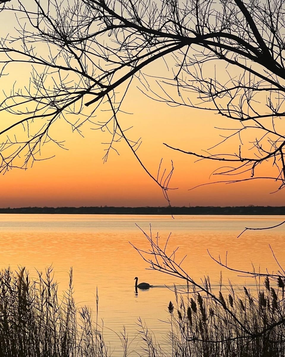 Natural landscape, Lake view, Sunset