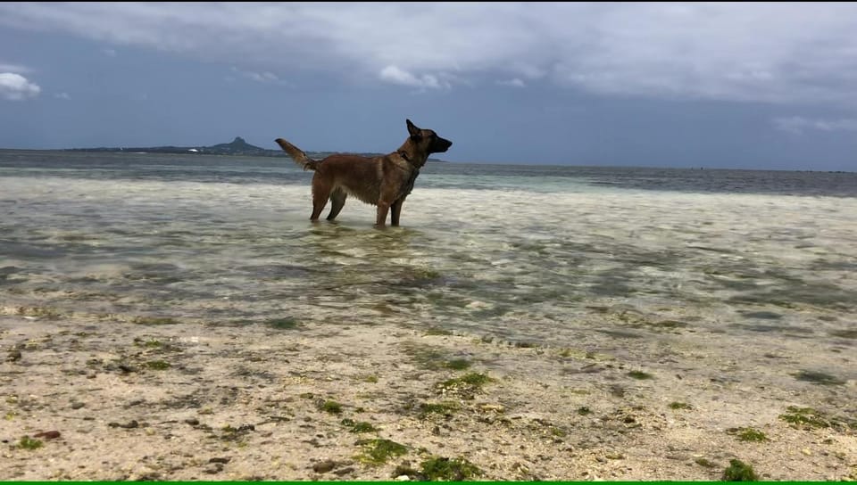 Natural landscape, Beach